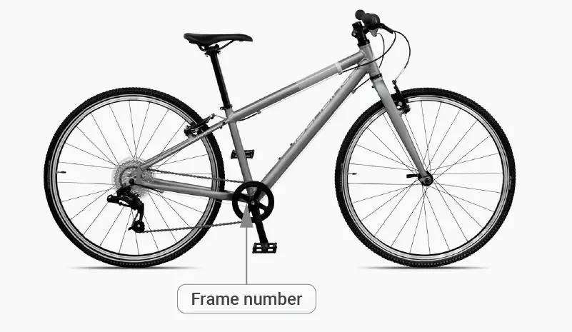 where to find the frame number