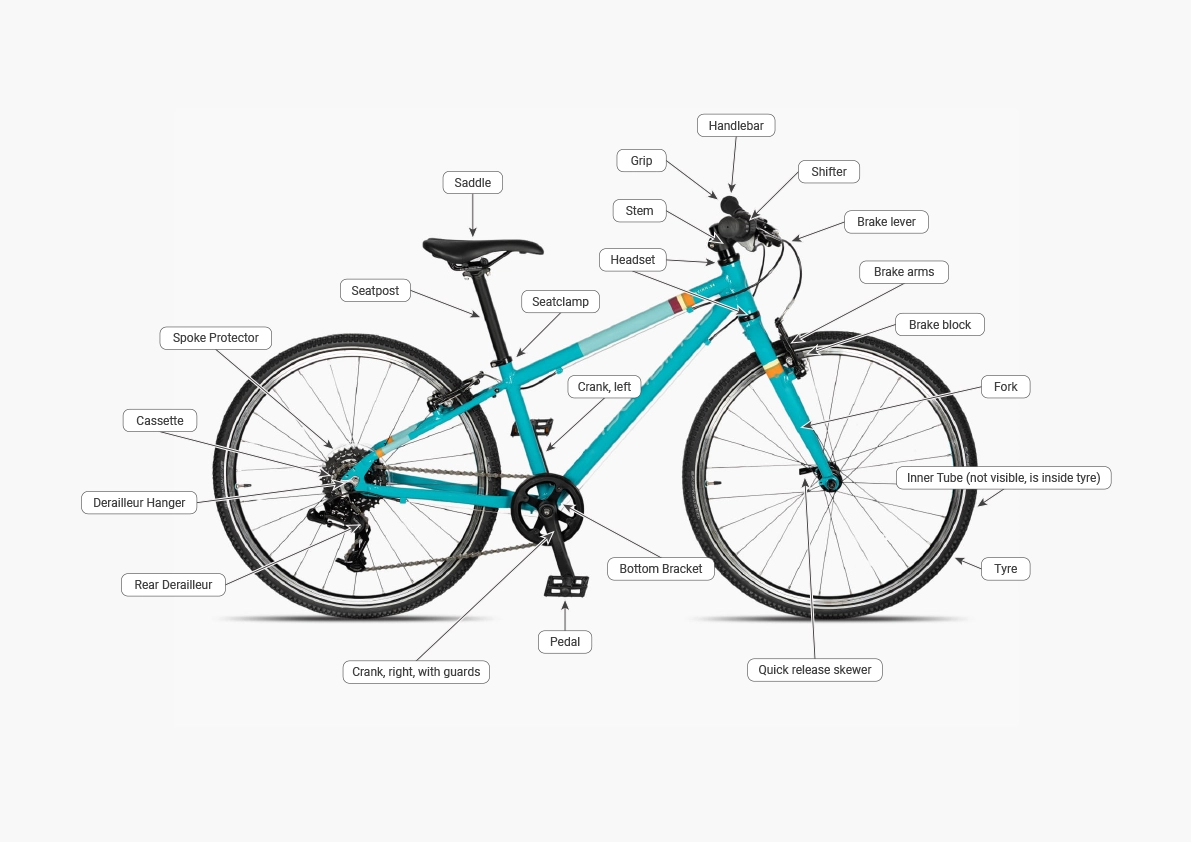 anatomy of a bike