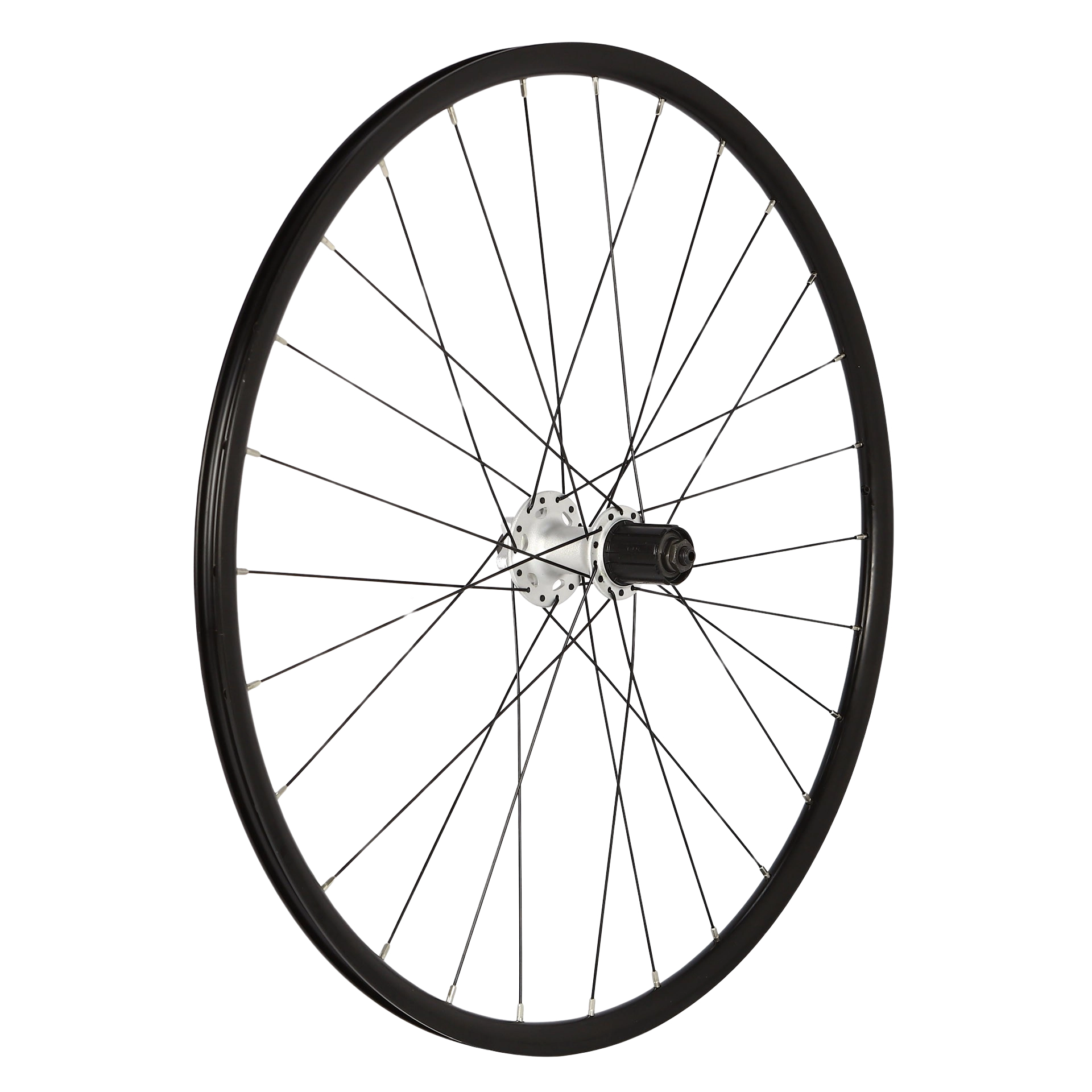 Wheel, Rear, disc, 26", Creig 26