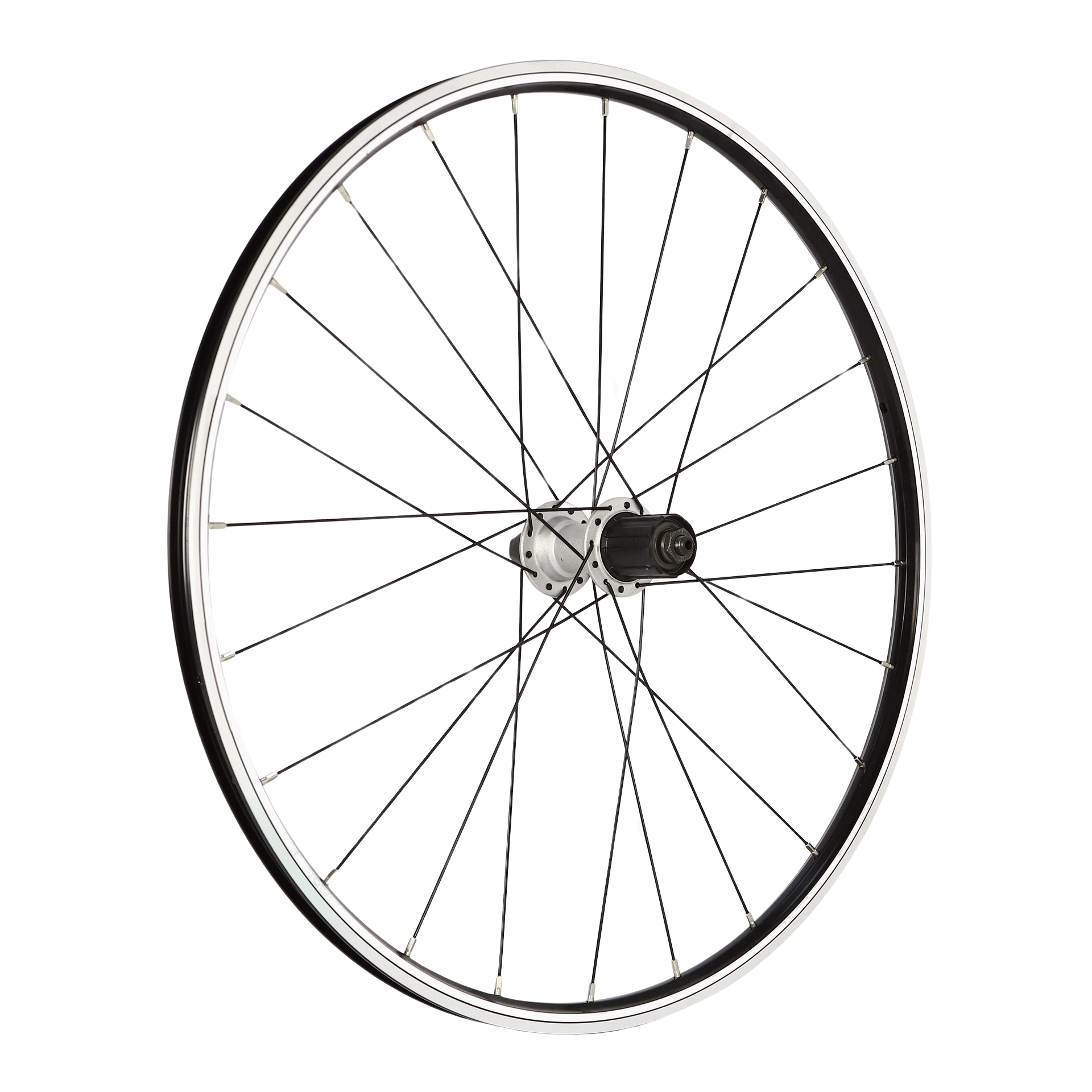 Wheel, Rear, 24", rim brake, OLD:135mm, Beinn 24 (2006 > 2019)